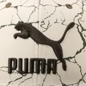 bone-plano-branco-e-verde-snapback-ls-colour-block-da-puma
