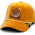 bone-curvo-amarelo-snapback-leao-lion-royalty-the-farm-da-goorin-bros