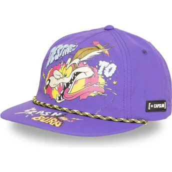 Boné plano violeta snapback Coiote LOO13 DTCB Looney Tunes da Capslab