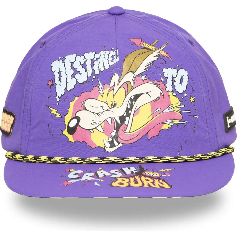 bone-plano-violeta-snapback-coiote-loo13-dtcb-looney-tunes-da-capslab