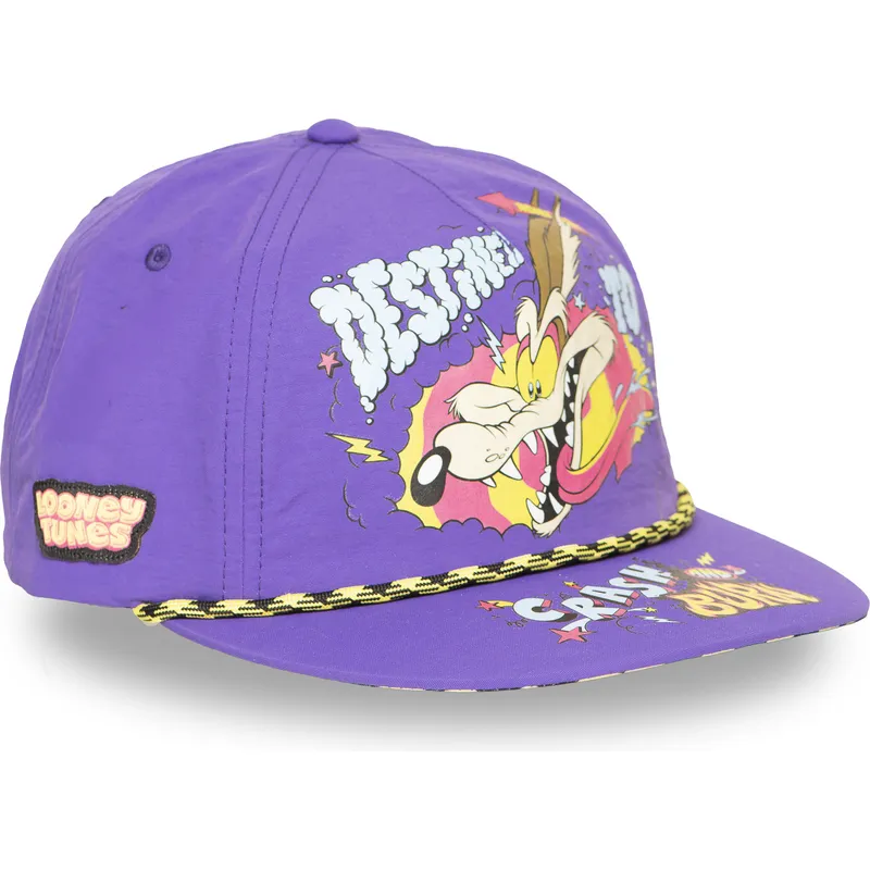 bone-plano-violeta-snapback-coiote-loo13-dtcb-looney-tunes-da-capslab