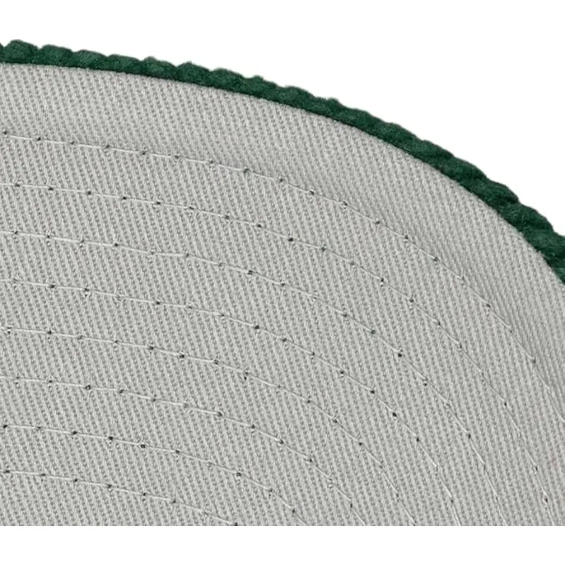 bone-curvo-verde-snapback-arch-stamp-pro-da-anaheim-ducks-nhl-da-mitchell-ness