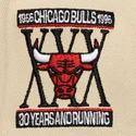 bone-plano-preto-e-bege-snapback-across-the-board-da-chicago-bulls-nba-da-mitchell-ness