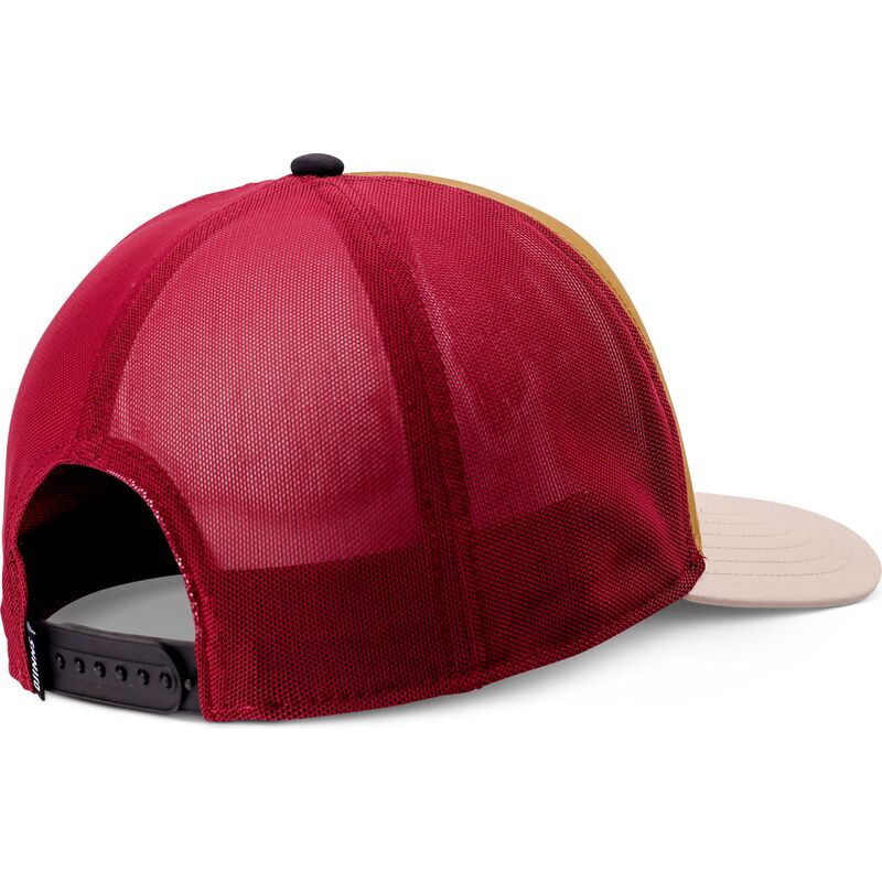 bone-trucker-multicolor-hft-mobesea-chestnut-da-djinns