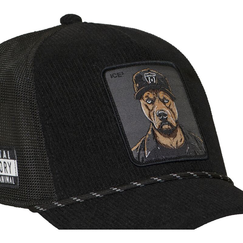 bone-trucker-preto-bad-dog-hip-badb-hip-hop-dogz-da-capslab