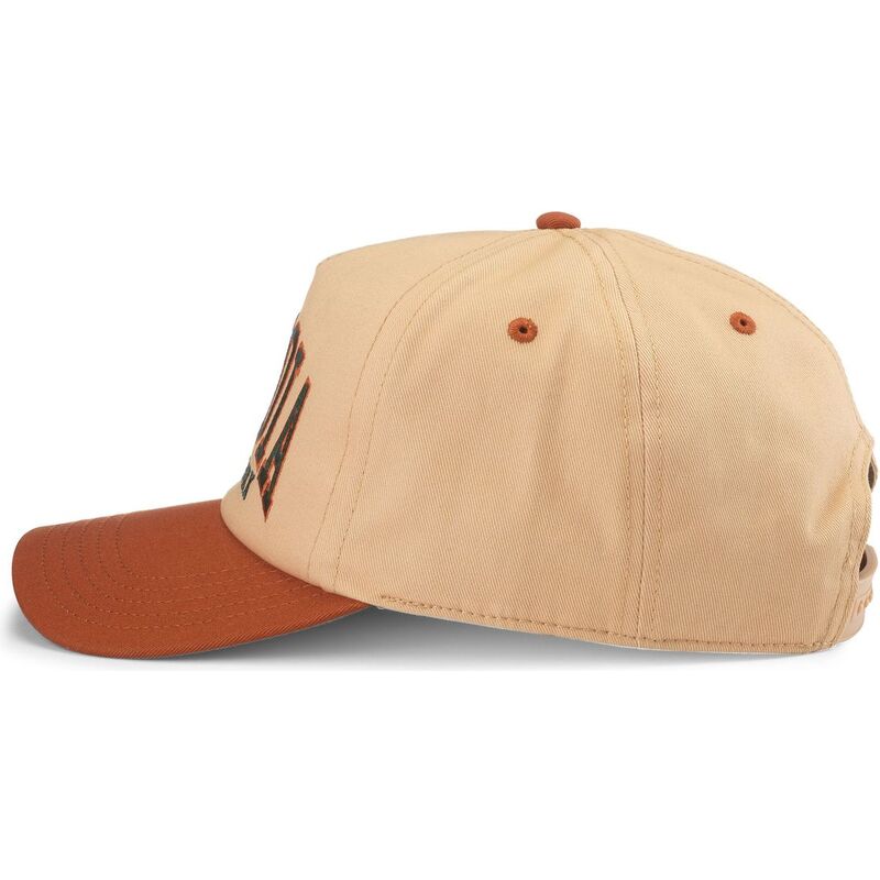bone-curvo-castanho-snapback-roscoe-da-sequoia-national-park-da-american-needle