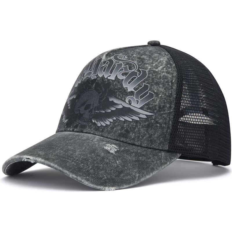 bone-trucker-cinza-flaming-gothic-skull-washed-da-ed-hardy