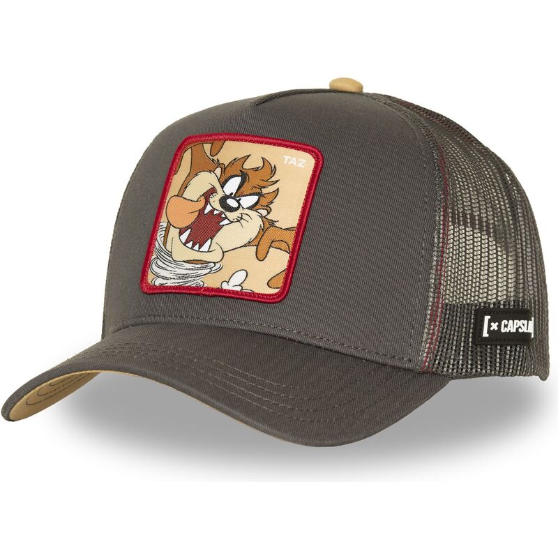 bone-trucker-castanho-demonio-da-tasmania-loo5-taz1r-looney-tunes-da-capslab bone-trucker-castanho-demonio-da-tasmania-loo5-taz1r-looney-tunes-da-capslab