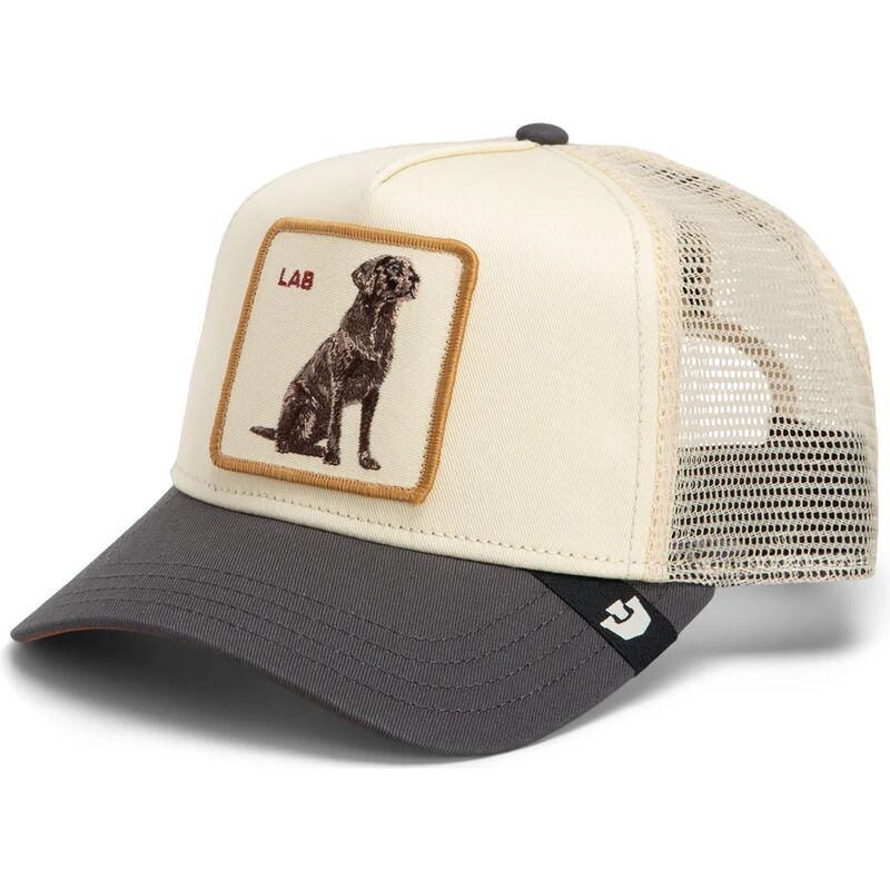 bone-trucker-creme-e-cinza-cao-shadow-lab-off-the-leash-the-farm-da-goorin-bros bone-trucker-creme-e-cinza-cao-shadow-lab-off-the-leash-the-farm-da-goorin-bros