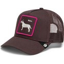 bone-trucker-castanho-cao-shadow-bull-terrier-off-the-leash-the-farm-da-goorin-bros