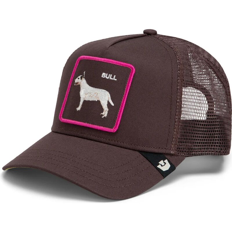 bone-trucker-castanho-cao-shadow-bull-terrier-off-the-leash-the-farm-da-goorin-bros