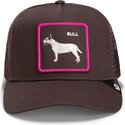 bone-trucker-castanho-cao-shadow-bull-terrier-off-the-leash-the-farm-da-goorin-bros