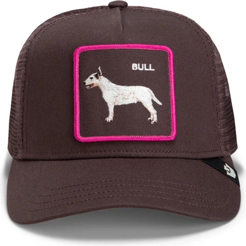 bone-trucker-castanho-cao-shadow-bull-terrier-off-the-leash-the-farm-da-goorin-bros