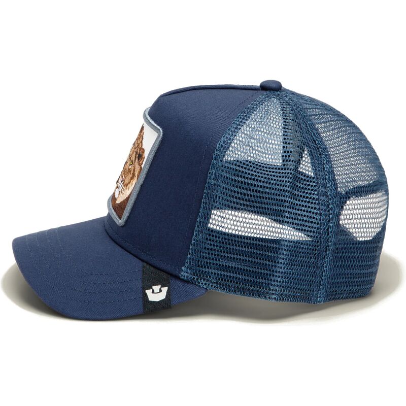 bone-trucker-azul-leao-royal-stay-royal-sidekick-the-farm-da-goorin-bros
