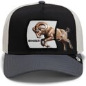 bone-trucker-multicolor-cabra-banger-migration-the-farm-da-goorin-bros